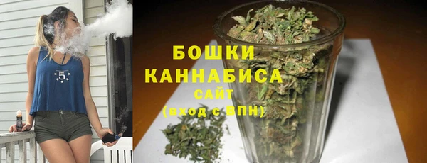 молекула духа Чита