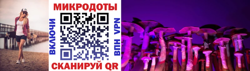 Галлюциногенные грибы Cubensis  Купить закладки  Ковдор 